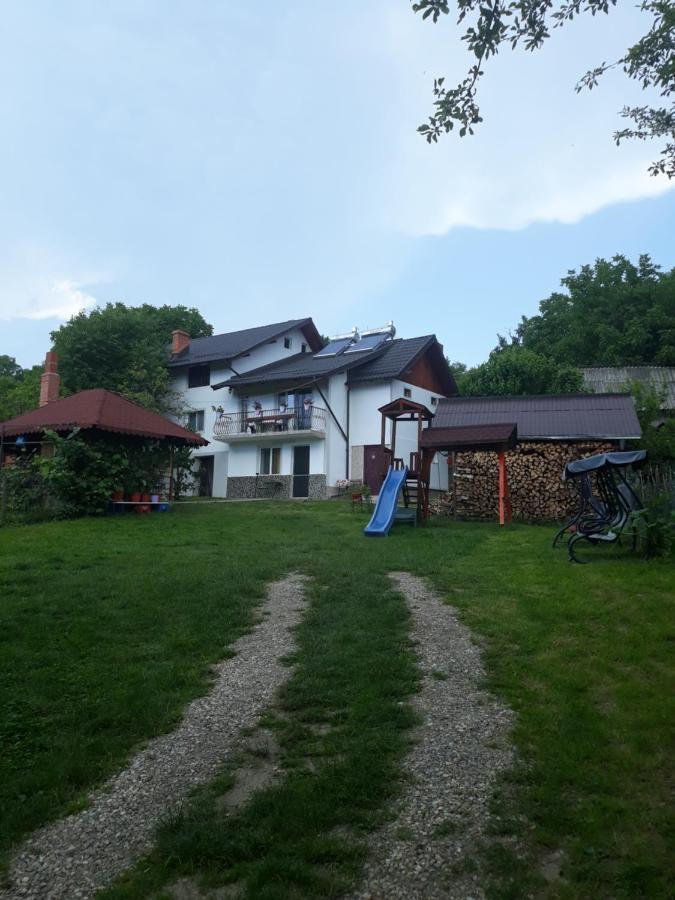 Casa Mariana - Comuna Arefu, Transfagarasan Căpăţîneni-Ungureni Eksteriør billede